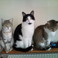Photo #187813 de Nounou