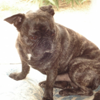 Photo #187894 de Ugo