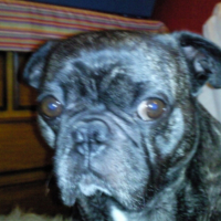 Photo #187897 de Ugo