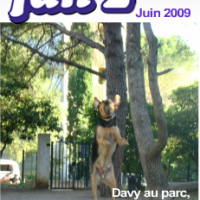 Photo #188000 de Davy