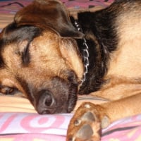 Photo #188004 de Davy