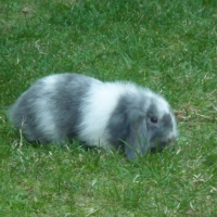 Photo #188013 de Ulane