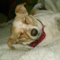 Photo #188026 de Ulka