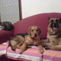 Photo #188036 de Rita