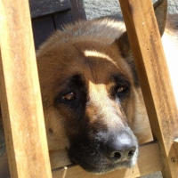 Photo #188056 de Rita