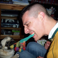 Photo #188063 de Chips