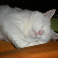 DSCN2663