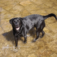 Photo #188067 de Toscane
