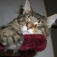 Photo #188068 de Clyde
