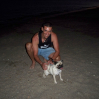 Photo #188088 de Chips
