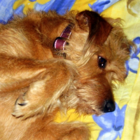 Photo #188093 de Patty