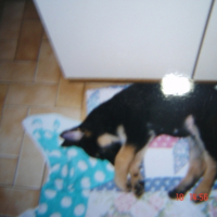 Photo #188124 de Tim