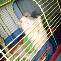 Photo #188147 de Sushi