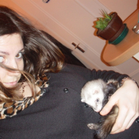 Photo #188238 de Neftis