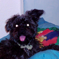 Photo #188249 de Paco