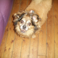 Photo #188266 de Fripon