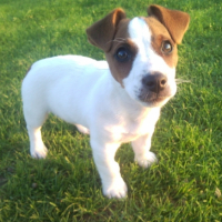 Photo #188322 de Ecko