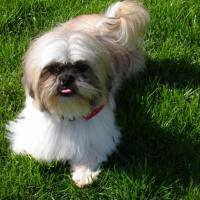 Photo #188333 de Caramel