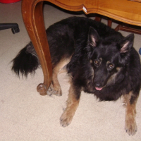 Photo #188364 de Nikita