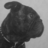 Photo #188406 de Ugo