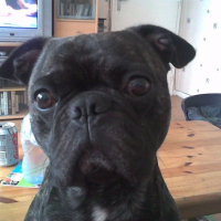 Photo #188410 de Ugo