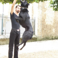 Photo #188460 de Baloo