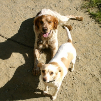 Photo #188506 de Apsos