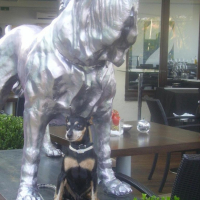Photo #188509 de Maxou