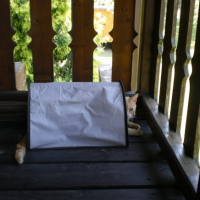 Photo #188519 de Roméo