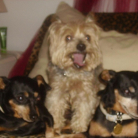 Photo #188548 de Loustic