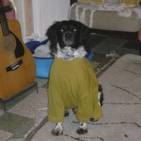 Photo #188558 de Axel