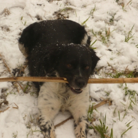 Photo #188567 de Axel
