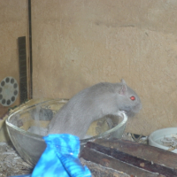 Photo #188603 de Tic et tac