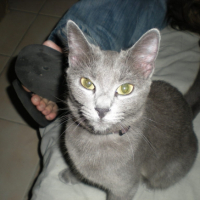 Photo #188636 de Bélunga