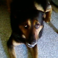 Photo #188649 de Brutus