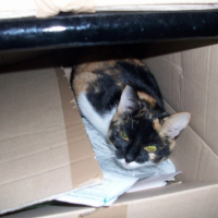 Photo #188655 de Moune