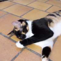Photo #188656 de Moune