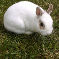 Photo #188693 de Whiter