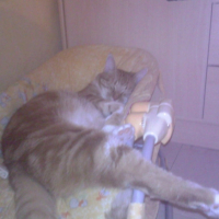 Photo #188742 de Bourvil