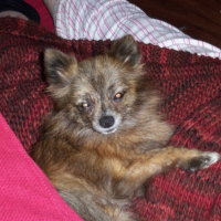Photo #188842 de Betty