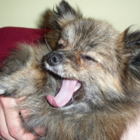 Photo #188850 de Betty