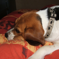 Photo #188867 de Usua