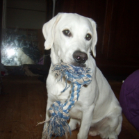 Photo #188916 de Tango
