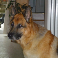 Photo #188920 de Junior