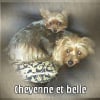 belle et cheyenne