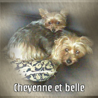 Photo #188985 de Belle
