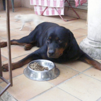Photo #189042 de Arés