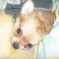 Photo #189088 de Saya