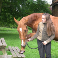 Photo #189121 de If du ruau