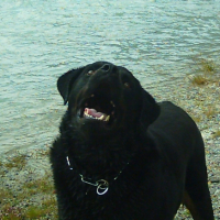 Photo #189226 de Black